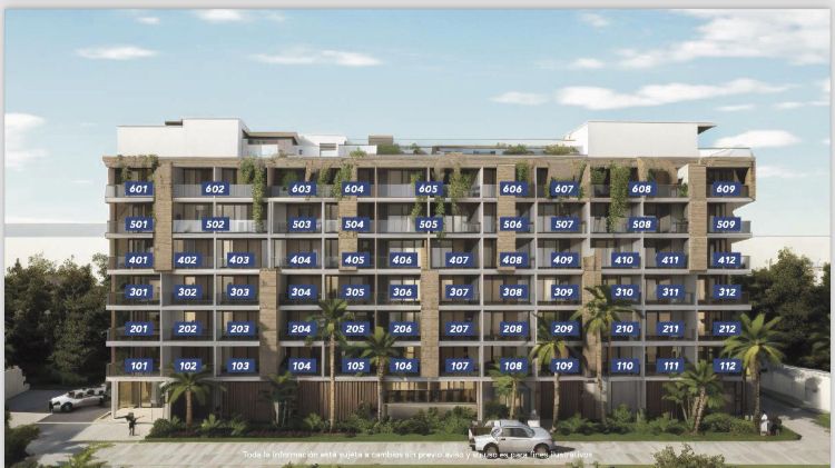 IX PUERTO MORELOS II